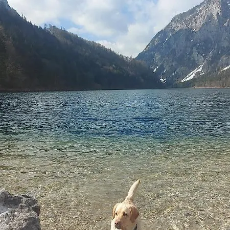 Auszeit Steiraland 1 Mit Privaten Garten Ueberdachter Terrasse Und Parken Leoben (Styria)