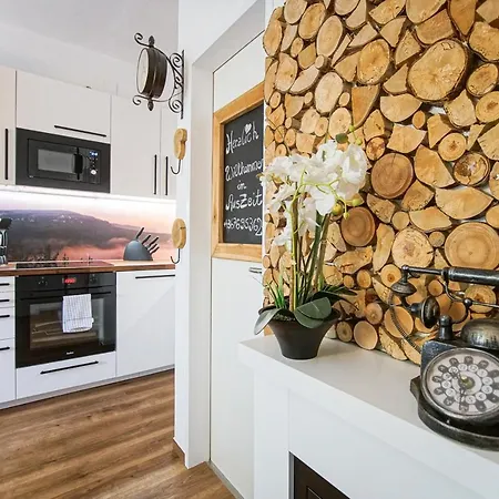 Auszeit Steiraland 1 Mit Privaten Garten Ueberdachter Terrasse Und Parken Leoben (Styria)