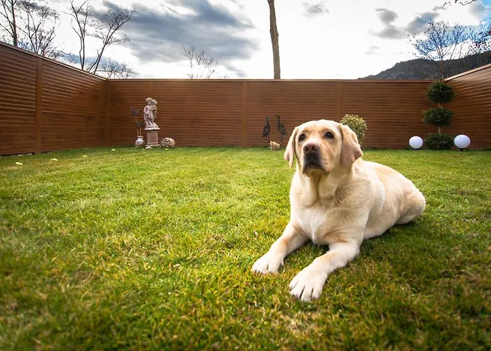 Auszeit Steiraland 1 Mit Privaten Garten Ueberdachter Terrasse Und Parken Apartman *