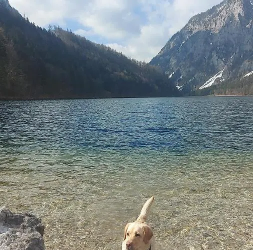 Auszeit Steiraland 1 Mit Privaten Garten Ueberdachter Terrasse Und Parken Leoben