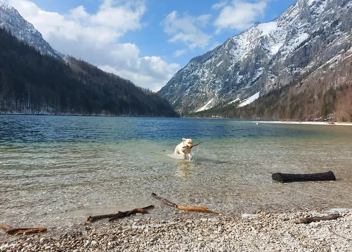 Auszeit Steiraland 1 Mit Privaten Garten Ueberdachter Terrasse Und Parken Apartman Leoben